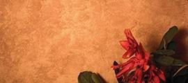 Decor deluxe lt 2 terracotta