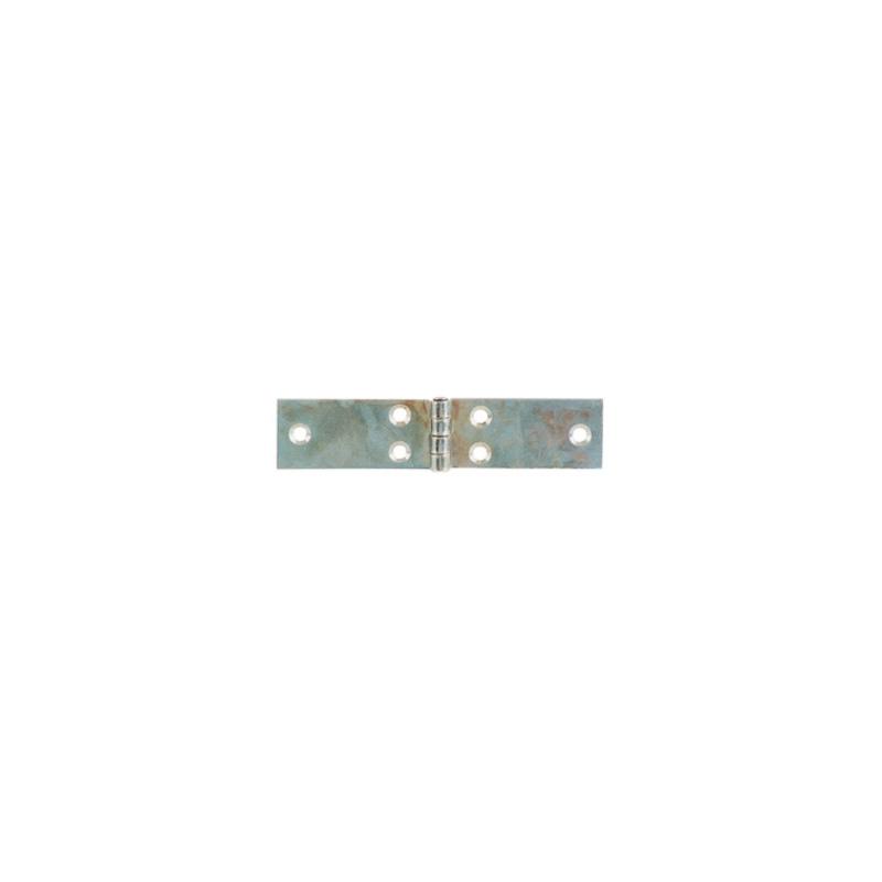 Cerniera lunga zincata mm 50x22