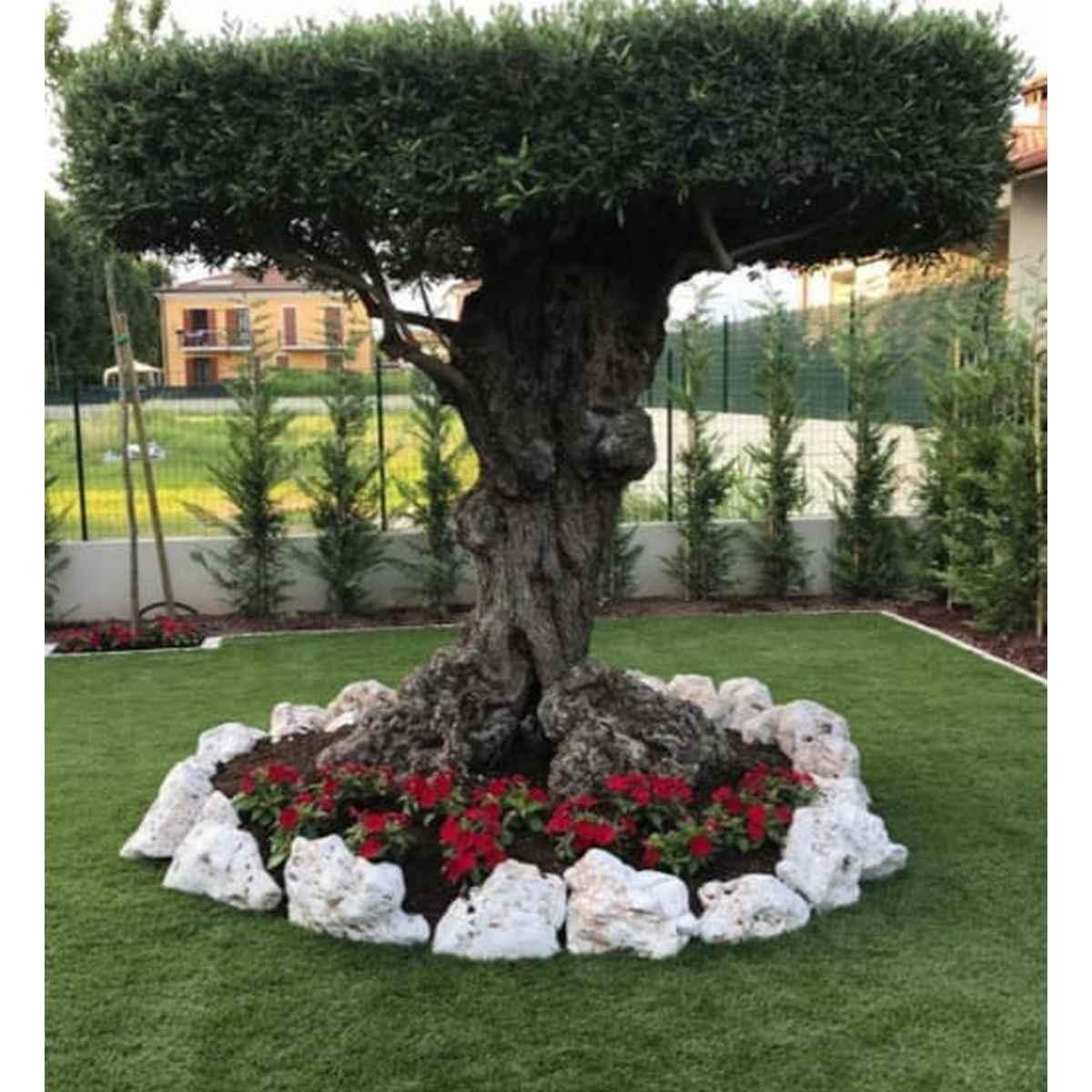 Roccia bucata ornamentale bianca 40/80