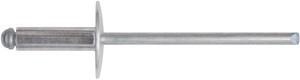 Rivetti  4,8x12 mm pz 100